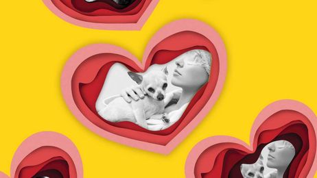 I Got a Couples Massage With My Dog