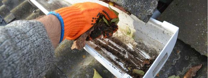 Why a Service Plan is Like Insurance for Your Gutters