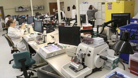 Alverno Laboratories' test helps diagnose heart attacks faster