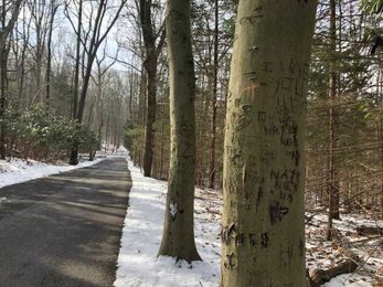 Here are 6 reminders of good trail etiquette