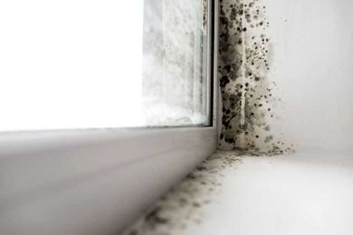 Is Internal Home Damage Covered by Insurance?