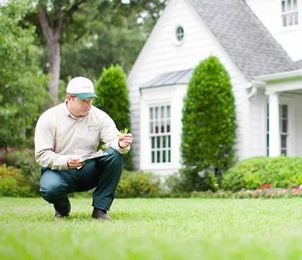 Affordable Lawn Care Plans & Maintenance Services