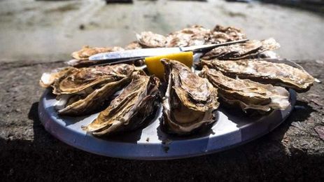 How Oysters Grow Their Way to Your Plate