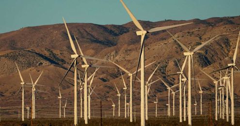 Oil traders pour funds into climate-friendly projects in search for new profits