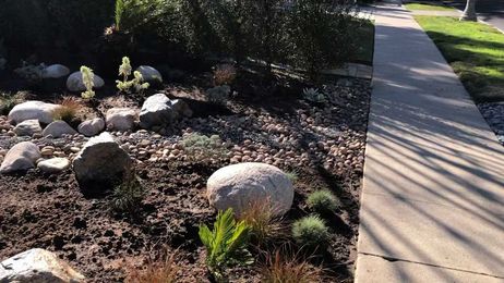 The Artistic side of Creating a Dry Creek Bed