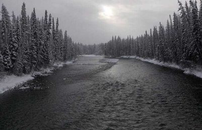 Wet'suwet'en: Why are Indigenous Rights Being Defined by an Energy Corporation?