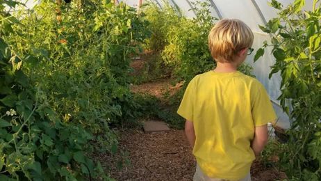 Gardening Etcetera: Constructing hoop houses can extend your growing season