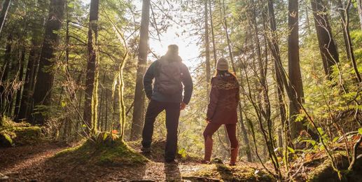 Everything you need to know about forest bathing