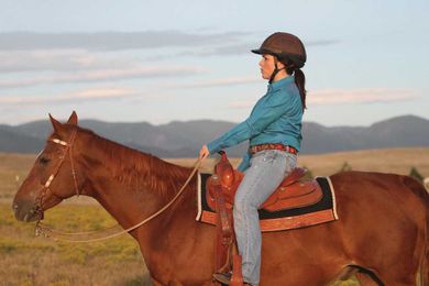 Teach Your Horse a 'Whoa' You Can Trust