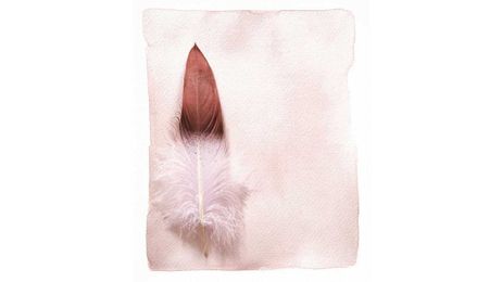 Elena Brower’s Writing Tips for Journaling When Creativity Is Blocked