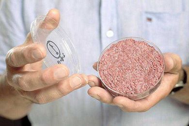 Lab-raised meat faces tough road to market, animal scientist says