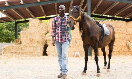 50 Beautiful Horse Quotes To Inspire You to Take a Ride