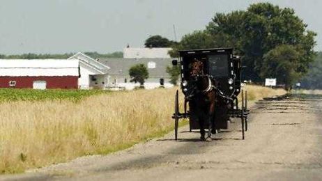MY AMISH HOME: Get to work or it's curtains for you