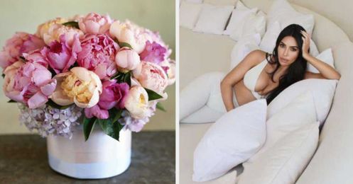 Design Your Dream Couch And We'll Tell You What Kind Of Flower You Are