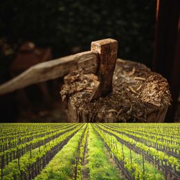 Get Rid of That Stump