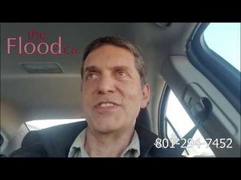 What a Mold Inspection Should Be