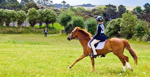 Know Before You Go: Horseback Riding