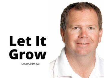 Can homeowners plant trees on city boulevards?