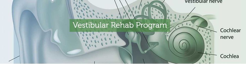 How vestibular rehab works