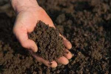 Why Soil pH Testing is Misunderstood