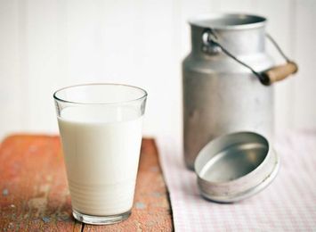 Skim Milk vs. Whole Milk: A Dietitian to Weighs In