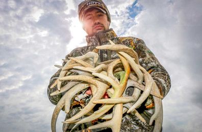 Fool’s Gold: Are You Shed Hunting Too Soon?