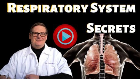 🔴 Respiratory System Secrets Explained by Dr Gordon Pedersen
