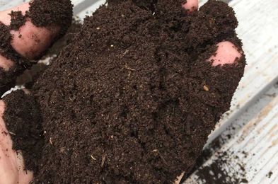 Beginners Guide: Worm Castings