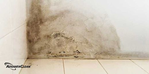 3 Things to Know about Water Damage