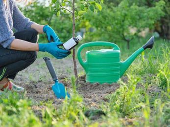 Rhode Island Homeowners: How To Nourish And Protect Garden Plants