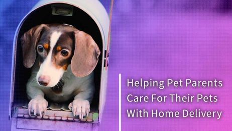 Helping Pet Parents Care For Their Pets With Home Delivery