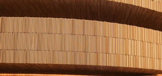 Will timber skyscrapers be the sustainable buildings of the future?