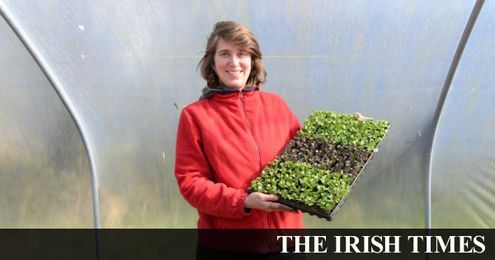 Farm to fork: The no-dig vegetable farmer of Dromone