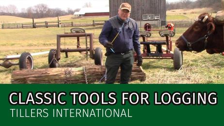 John's Must Have Tools for Getting Logs Out of the Woods without Modern Tech