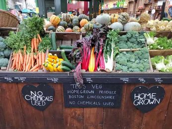 If your local grocery is low on food, shop here instead