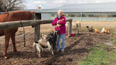 Stories from the Farm: The Little Red Hen