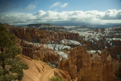 You Can Now Visit These National Parks Virtually!