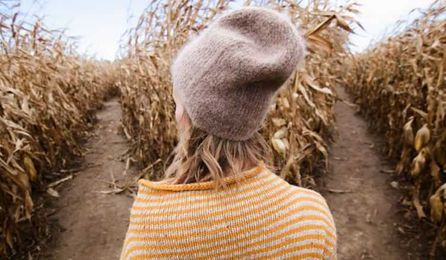 Freewill at Edge with Quantum Theory: Do We Have Free Will?