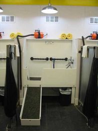 Shop Local with the Online Convenience!