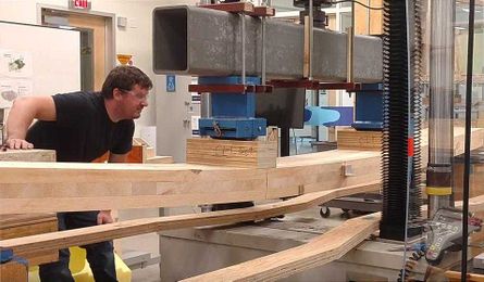 New Sustainable Building Materials Developed from Trees