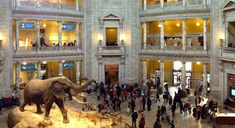 Take A Virtual Tour Of These 5 Indian Museums From The Comfort Of Your Home