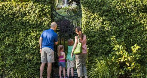 Savannah-Inspired Activities for Kids