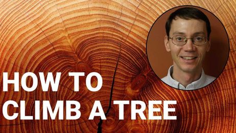 How to Climb a Tree with Joe