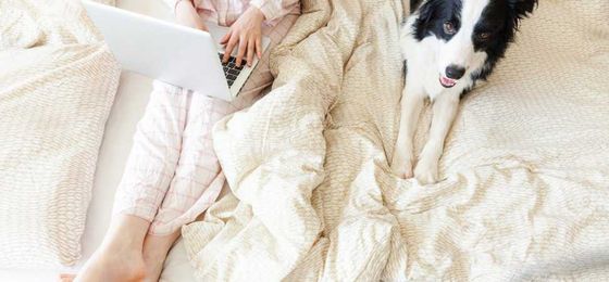 A Judge's Request Highlights Why You Need a Telecommuting Dress Code