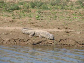 Jump Into Your Discomfort Zone to Succeed