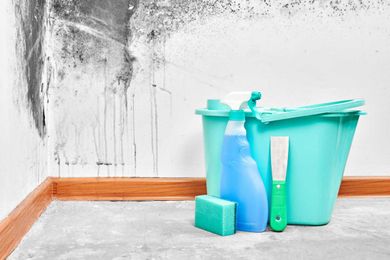 How to Clean Mold and Mildew