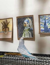 My Friend Created A Tiny Art Gallery For Her 7 Budgies