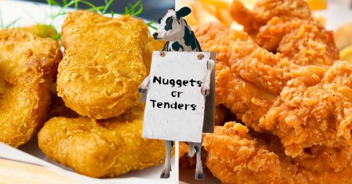 Are You A Chicken Nugget Or A Chicken Tender?