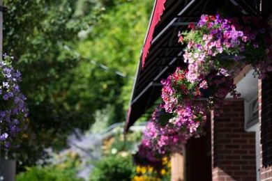 Learn how long different types of roofs last