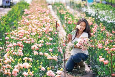 Rhode Island Flower Farmers Share Their Best Green-Thumbed Tips